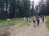 Letni Trening socialnih veščin, Soča 2016